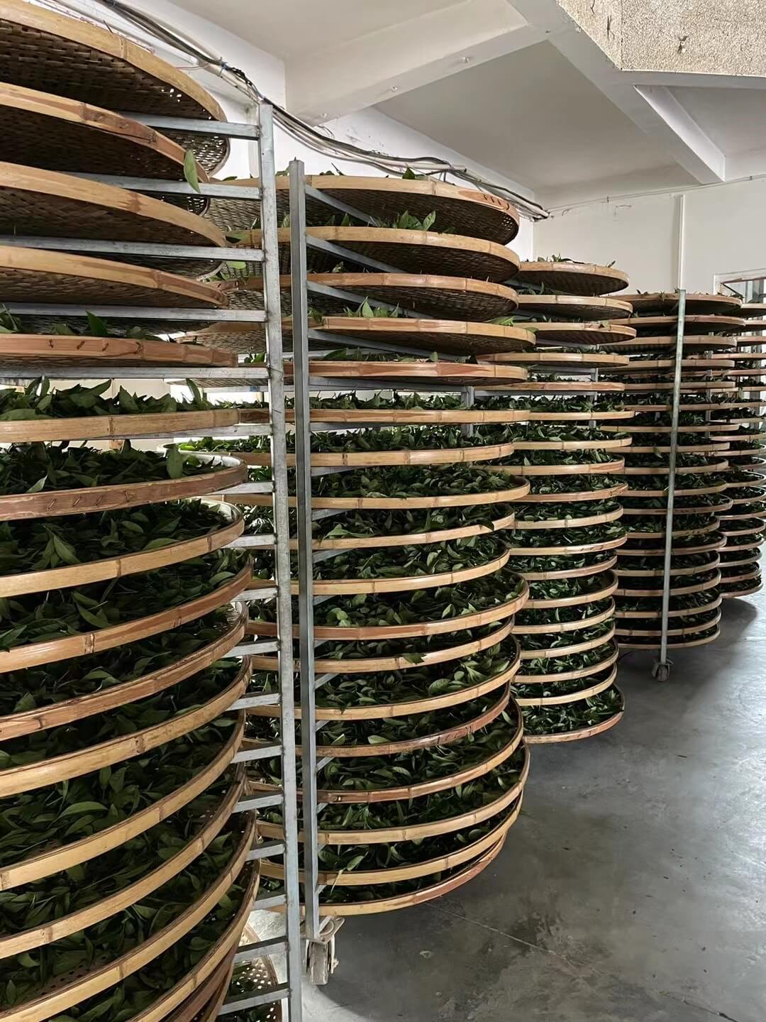 Traditional Tea Brewing